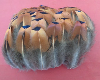 100 Small Pheasant Flank Feathers 2" - 3" / 5cm - 8cm