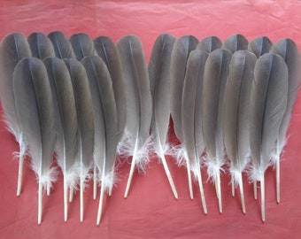20 Rounded Brown Goose Wing Quill Feathers 10" / 25cm