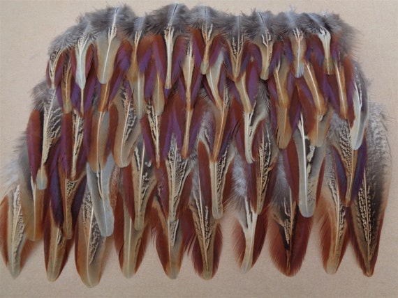 Dream Catcher 4.5" Crafting 50 Cock Pheasant Outer Wing Feathers 2.5" 
