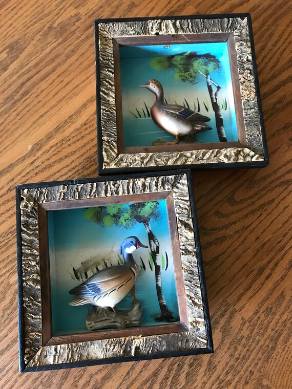 Set of 2 DUCK WALL Decor Mid Century Modern Bark Frames Etsy