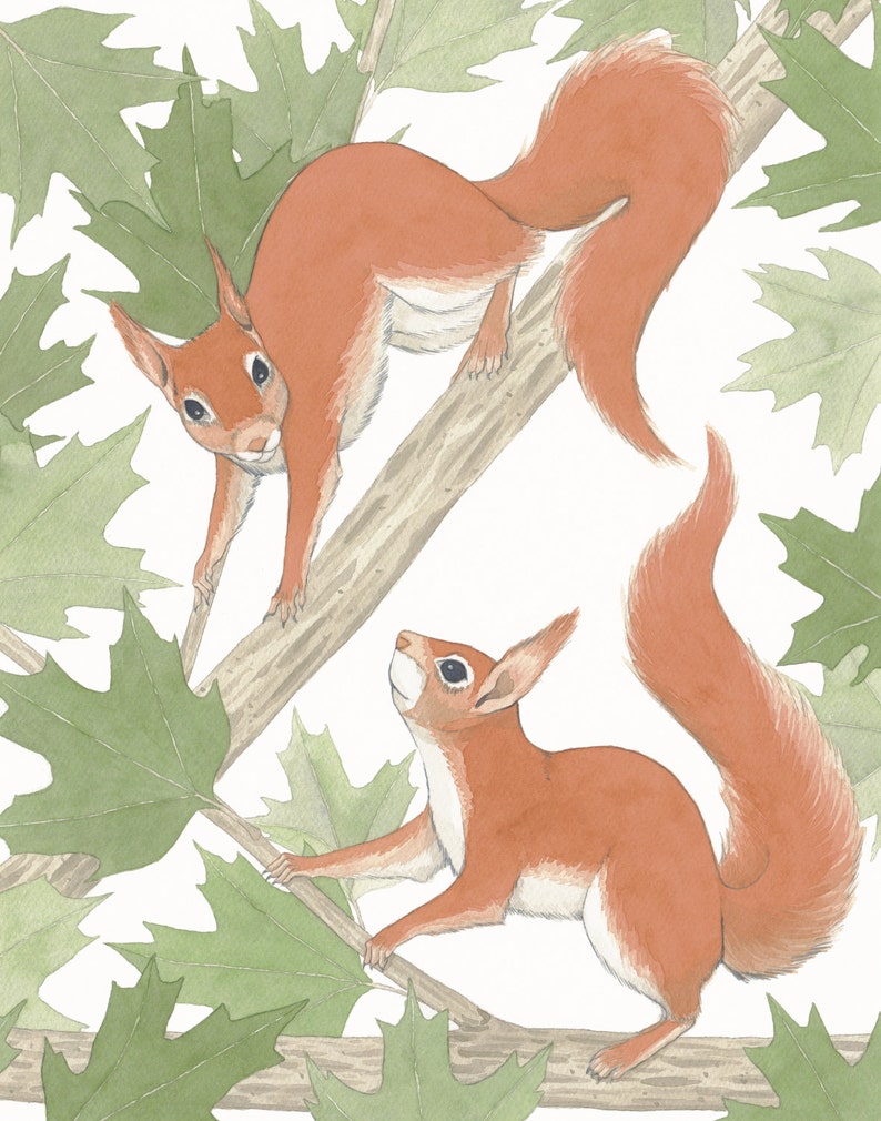 Squirrel Play Etsy