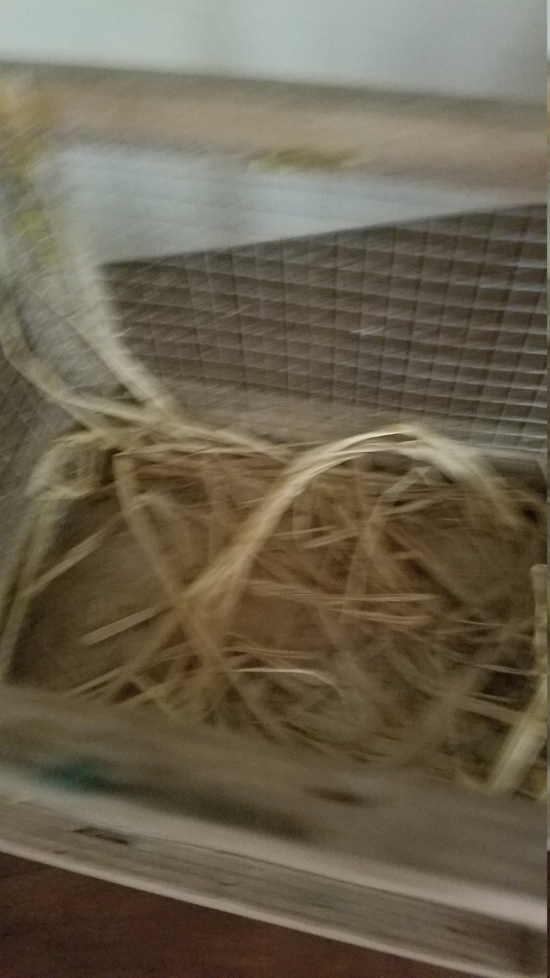 Pode incluir: Um close-up de uma gaiola de p&aacute;ssaros com um ninho de palha tecida dentro. A gaiola &eacute; feita de metal e tem uma malha de arame.