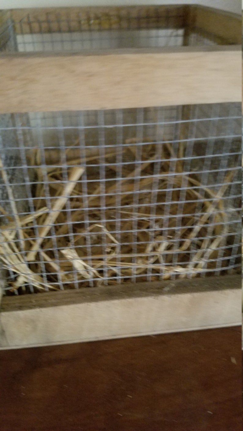 Pode incluir: Uma caixa de madeira com uma tampa de malha de arame cheia de palha. A caixa est&aacute; sobre uma superf&iacute;cie de madeira.