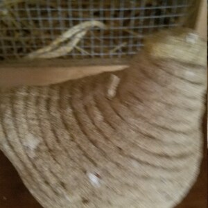 Pode incluir: Close-up de um objeto em forma de sino, marrom e tecido. O objeto est&aacute; sobre uma superf&iacute;cie de madeira.