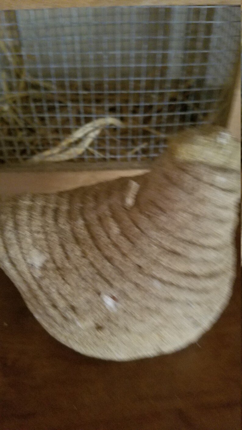 Pode incluir: Close-up de um objeto em forma de sino, marrom e tecido. O objeto est&aacute; sobre uma superf&iacute;cie de madeira.