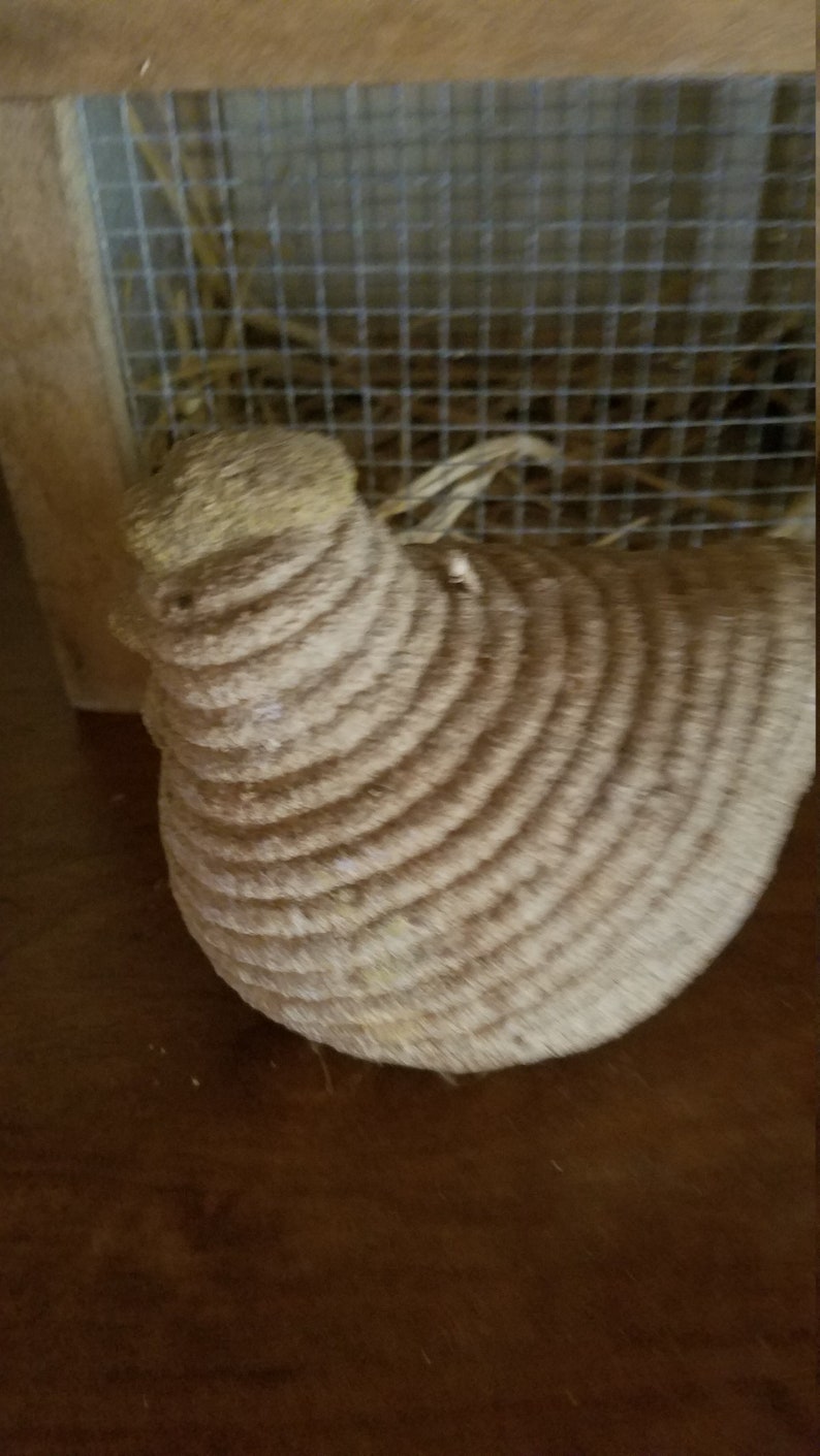 Pode incluir: Um ninho de p&aacute;ssaro tecido castanho, feito de materiais naturais, encontra-se dentro de uma gaiola de madeira com uma malha de arame.