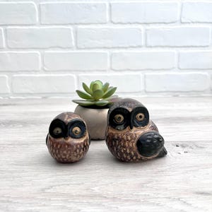 May include: Two ceramic owls, one larger than the other, are sitting on a light wood surface. The owls are brown and black with detailed markings. The larger owl has its wings folded and is looking to the right. The smaller owl is looking straight ahead.