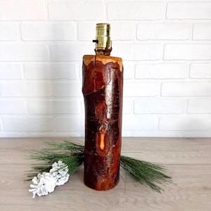 May include: A rustic wooden lamp with a cylindrical base made from a tree trunk. The lamp has a warm, brown color with visible wood grain and knots. The top features a brass lamp holder and a black switch. A pine cone and greenery are in the foreground.