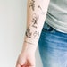 Belmy Bao reviewed 6 Alice in Wonderland Temporary Tattoos- SmashTat
