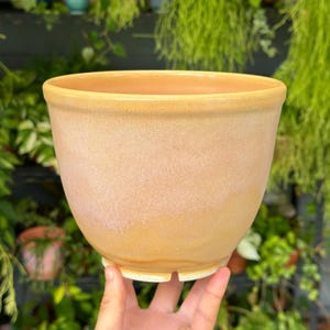 May include: A peach-colored ceramic planter with a rounded shape and a slightly flared rim. The planter has a speckled texture and sits on a white base with drainage slots. The background features various green plants.