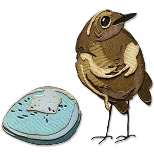 Bird & Egg, Colorize di Tim Holtz #665857 - Nuovo! Sizzix Thinlits Colorize - Set di 11 stampi