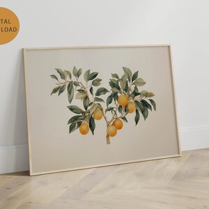 May include: A digital print of a watercolour painting of a citrus tree with green leaves and orange fruit.