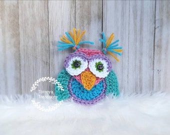 Torreya Owl Applique easy crochet pattern, instant download pdf pattern, colorful crochet owl decoration, DIY crochet owl embellishment