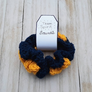 May include: A blue and gold crocheted scrunchie with a tag that reads "Team Spirit Scrunchie".