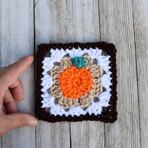 May include: A crocheted square with a brown border, white center, and an orange pumpkin in the middle. The pumpkin has a green stem.