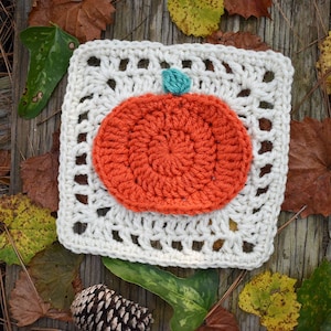 May include: A crocheted pumpkin square with a white background and an orange pumpkin with a teal stem.