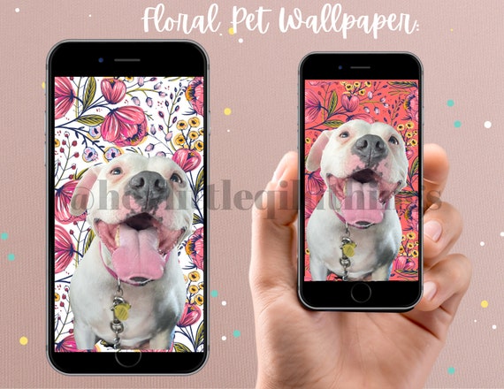 Mobile Wallpapers on WallpaperDog