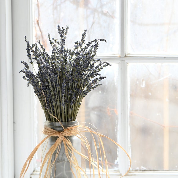 Dried Lavender Etsy