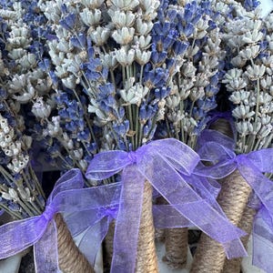 10 Qty-Dried Lavender Men's Boutonniere/Wedding Favor/Table Dressing/Corsage Pins Included