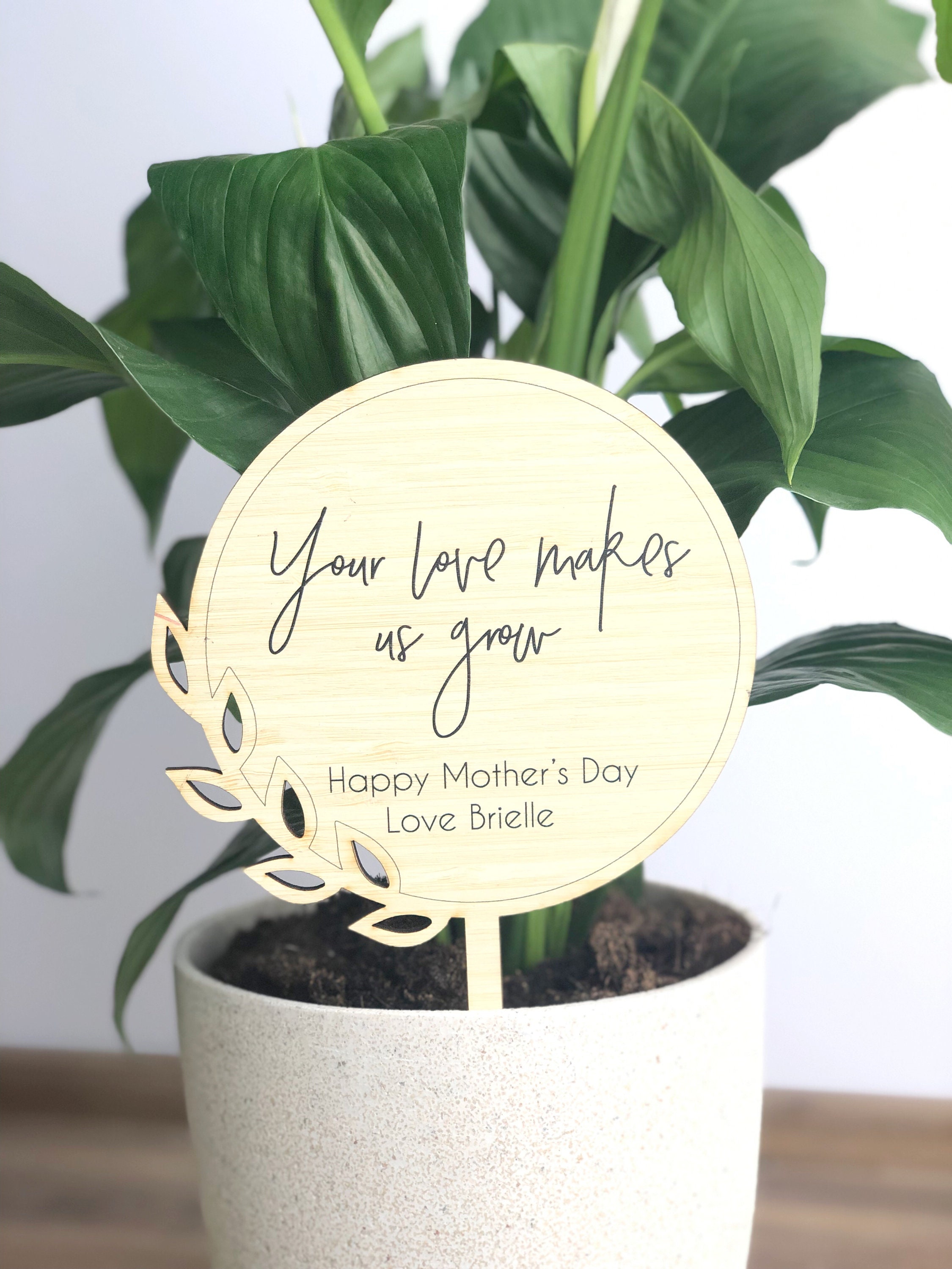 Gabbro Pothos Money Plant With Beautiful I Love Mom Melamine Pot / Women's  Day /Mother's Day/ Indoor