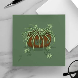 Tarjetas de felicitación con la planta araña