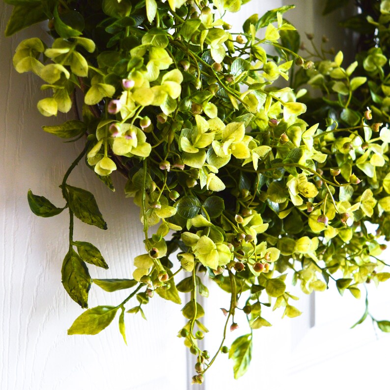 boxwood eucalyptus wreath