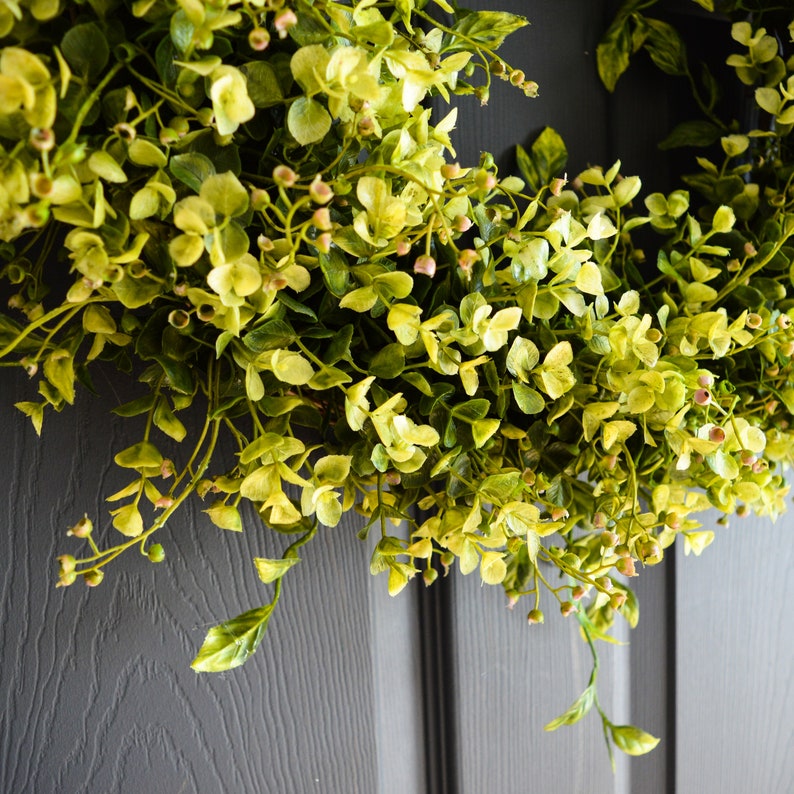 boxwood eucalyptus wreath