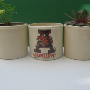 May include: Three white ceramic planters with green plants. The center planter has a black and orange Auburn University logo with the word "Auburn" printed below.