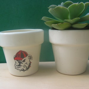 May include: Two white ceramic flower pots. One pot has a black and white bulldog graphic with a red hat. The other pot has a green succulent plant.