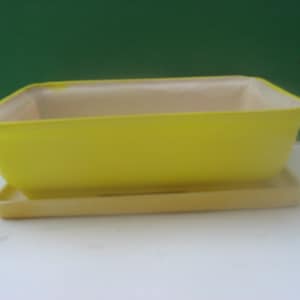 May include: A yellow ceramic planter with a matching saucer. The planter is rectangular and has a slightly rounded lip.