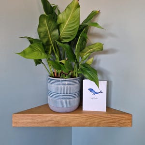 Handmade Wooden Corner Shelf, Solid Wood Floating Shelf for Bathrooms, Kitchens & Living Rooms