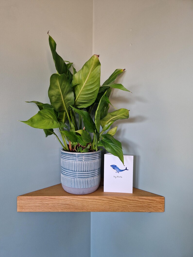 Op de afbeelding: Een kamerplant met grote groene bladeren op een houten hoekplank. De blauw-wit gestreepte keramische pot bevat de plant. Een kleine witte kaart met een blauwe walvisillustratie en de tekst "big thanks" staat op de plank.
