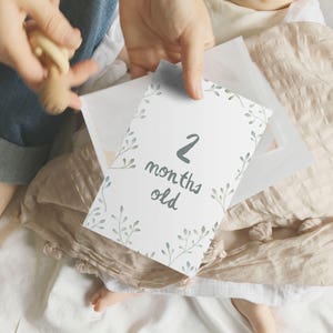 Cartes d'étape de bébé d'eucalyptus vert {nb - 2yo} Téléchargement instantané