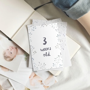 Cartes d'étape pour bébé Eucalyptus violet {nb - 2yo} Téléchargement instantané