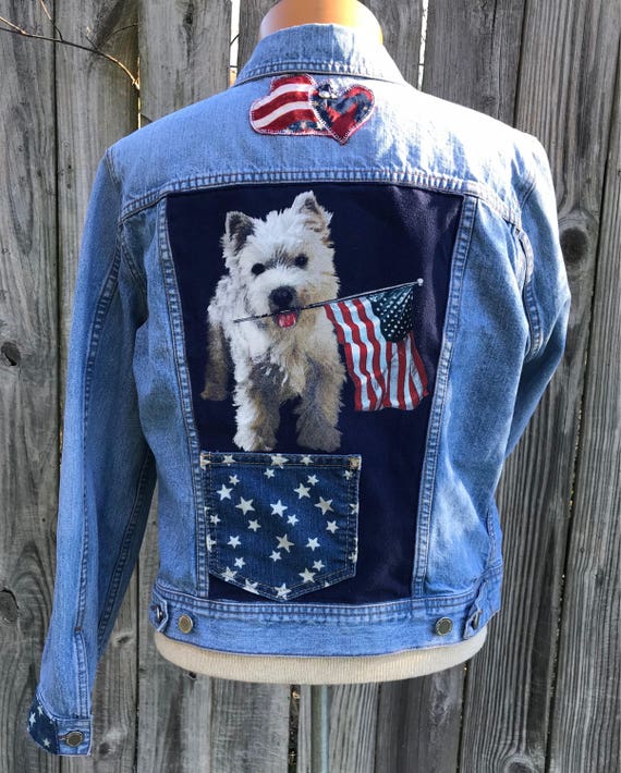 calvin klein dog clothes