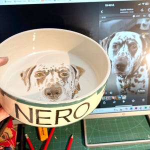 Hand-Painted Pet Portrait Ceramic Bowl, Custom Cat/Dog Feeder