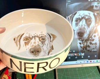 Hand painted pet portrait ceramic pet bowl, Pet portrait water bowl, Custom pet portrait, Ceramic cat bowl, Pet gift, Pet portrait feeder