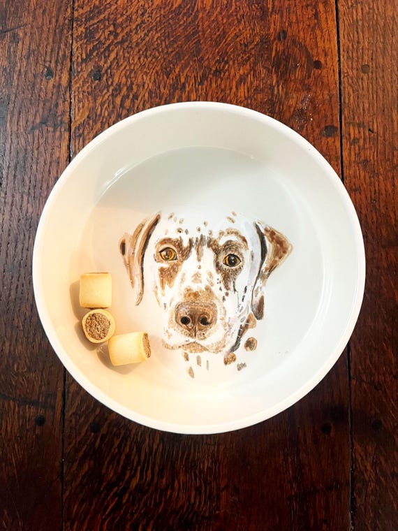 Ciotola In Ceramica Per Cani E Gatti - Design Con Stampa Cane, Diametro 16 Cm, 800 Ml - Foto 12