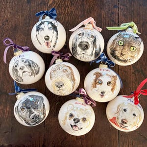 Pet Portrait, Gift for dog owner, Pet decoration, Personalised pet ornament, Hand painted cat painting, dog portrait, pet bauble