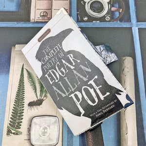 Edgar Allan Poe Wallet, Edgar Allen Poe Coin Wallet, I love Poe, Gothic purse, Poetry book coin wallet, Quoth the Raven “Nevermore”