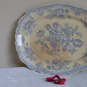 Benjamin & Sampson Hancock  asiatic Pheasants plate/Staffordshire pottery/1876-1881/Home decor/Meat plate/English pottery/Margalide