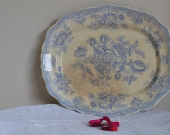 Benjamin & Sampson Hancock  asiatic Pheasants plate/Staffordshire pottery/1876-1881/Home decor/Meat plate/English pottery/Margalide