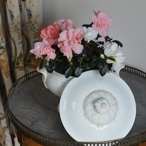 Rare large  shabby chic French Tureen/Antique White glazed Ironstone Tureen/Soupier/kitchen decor/Home decor/french home/J viellard Bordeaux