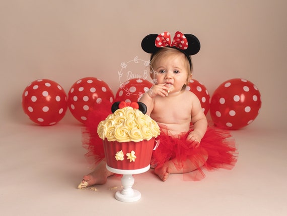 minnie mouse smash cake outfit