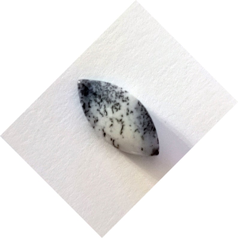 And now for something dfferent a marquis shape dendritic opal
