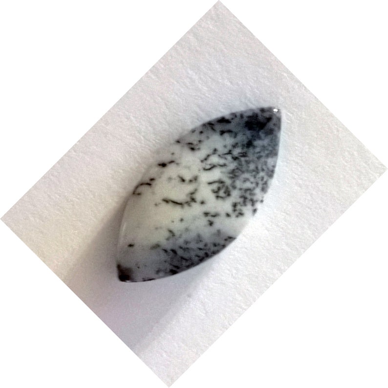 And now for something dfferent a marquis shape dendritic opal