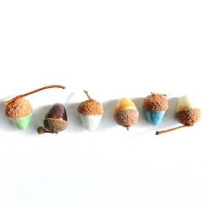 May include: Six decorative acorns arranged in a horizontal row. Each acorn features a textured brown cap and a smooth, glossy base in various colours including light green, dark brown, white, yellow, blue, and cream, with some attached stems.