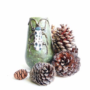 Ceramic Vase with Beetle Decoration, Pottery Vase, Insect Gift,