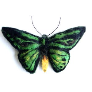 Könnte beinhalten: Ein gefilzter Schmetterling mit einem leuchtend grünen und schwarzen Flügelmuster und einer strukturierten Oberfläche. Der Schmetterling hat einen kleinen, hellgelben Hinterleib und zwei dünne, dunkle, gebogene Fühler am Kopf.