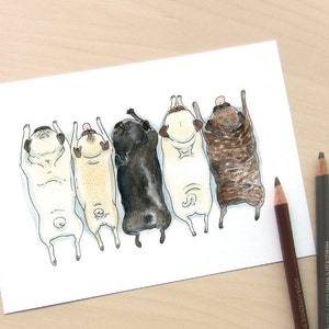 Pug Spectrum Art print of our pug grumble ink and watercolor illustration with fawn, brindle and black pugs in a row by InkPug image 1